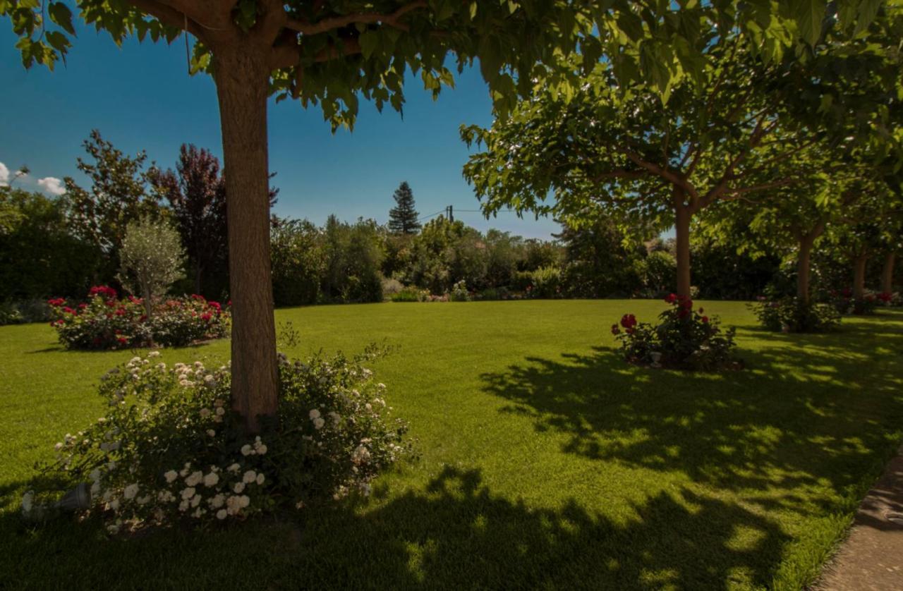 Villa Rodoula In Mystras สปาร์ติ ภายนอก รูปภาพ